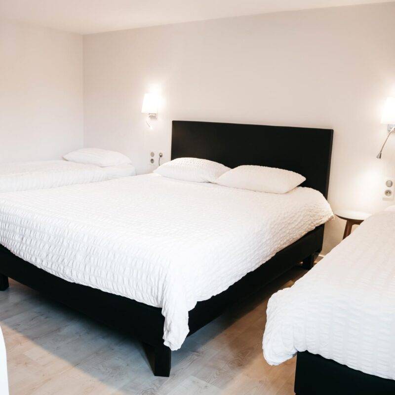 Chambres d&#8217;hôtel*** à Bartenheim près de l&#8217;Euroairport, Saint-Louis, Bâle, l&#8217;Allemagne et le Sundgau Bartenheim 20