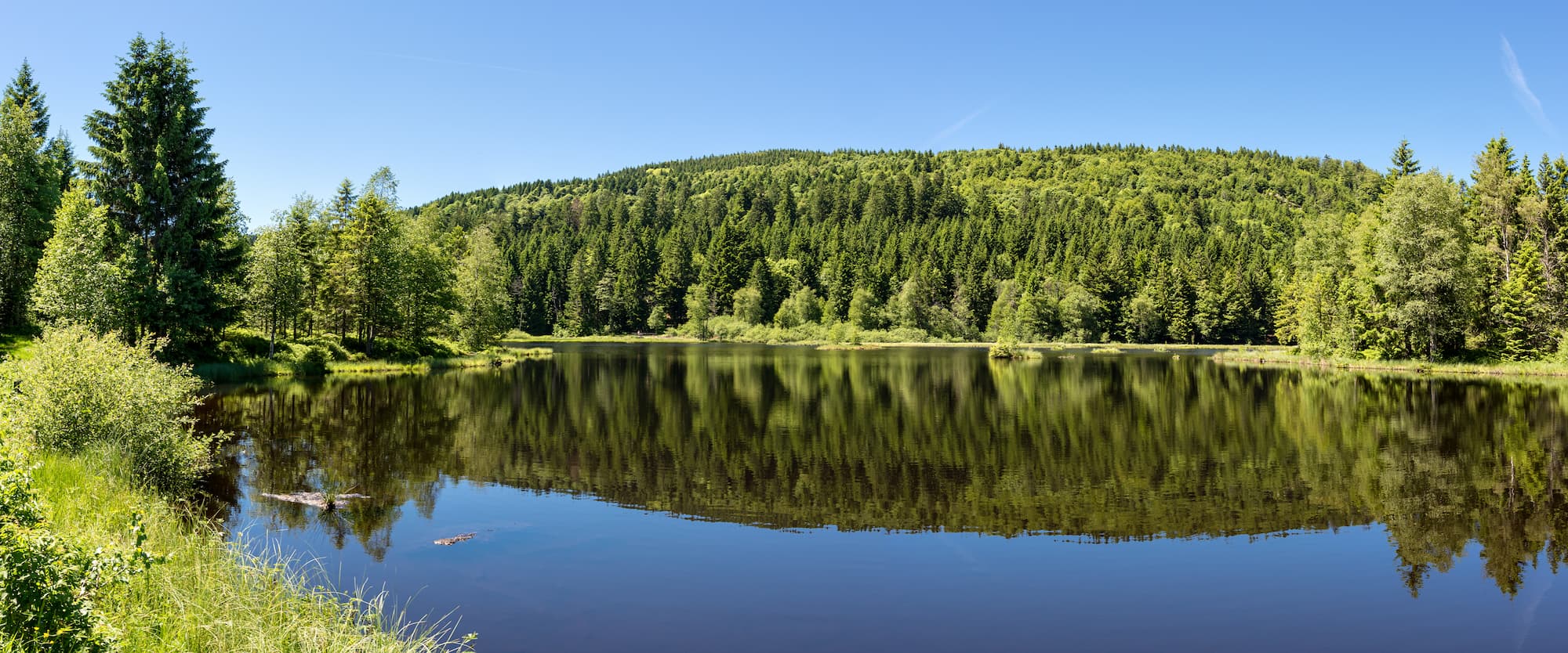 Quelles sont les plus belles randonnées à faire en Alsace ? Brinckheim