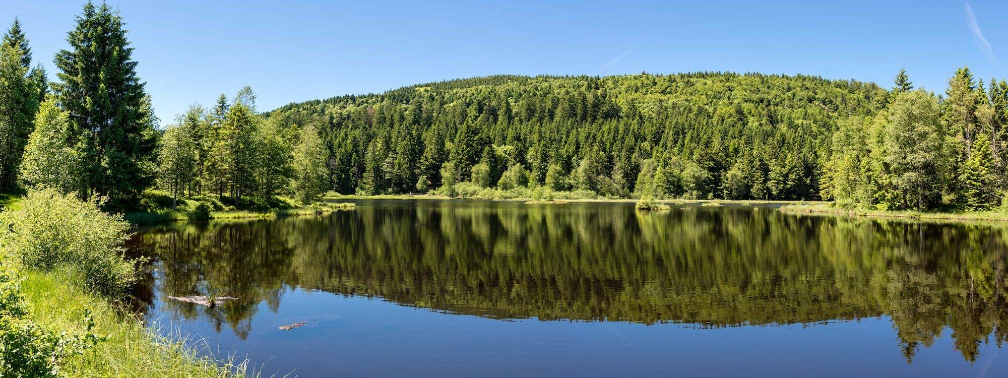 Quels sont les avantages d&#8217;un hôtel près des montagnes ? Bartenheim