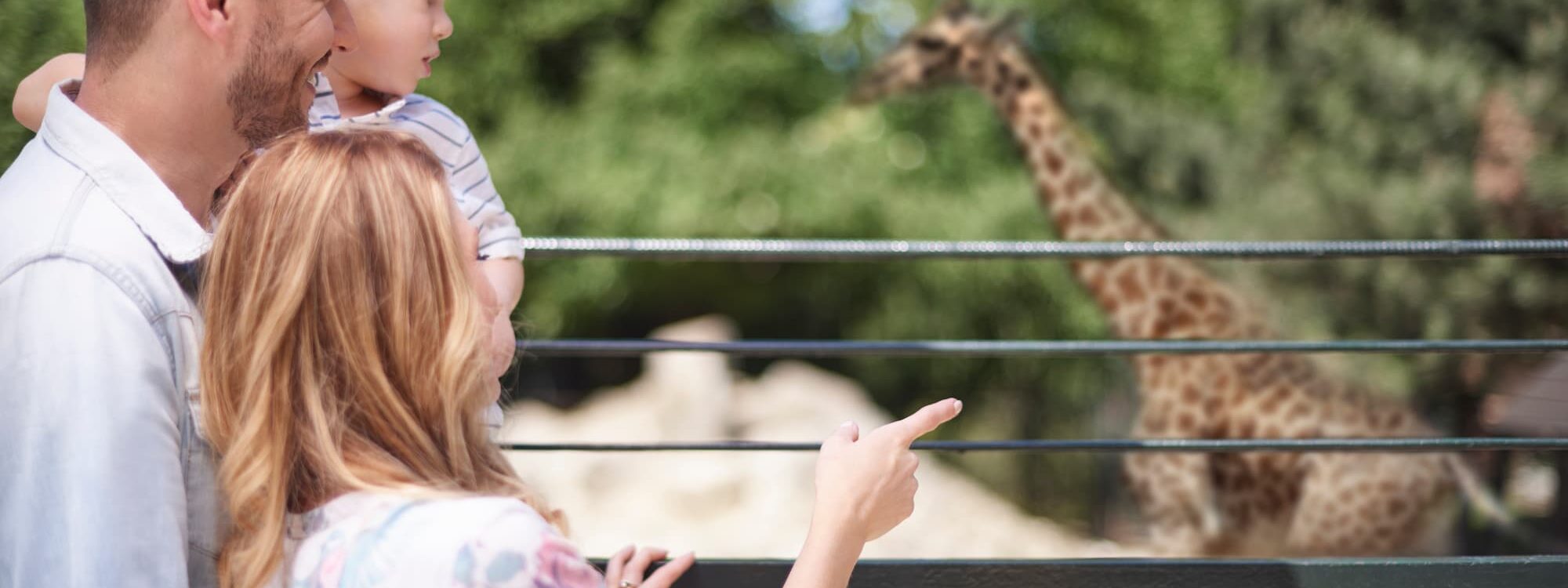 Qu’est-ce que le zoo de B&acirc;le, le parc animalier le plus grand et le plus ancien de Suisse ? Brinckheim