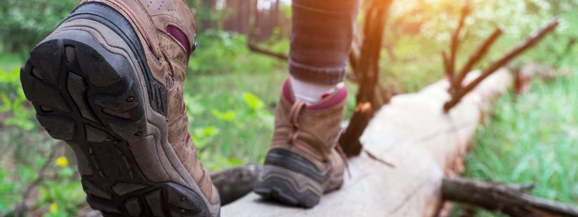 RANDONNEE 2000X750 | Au Lion Rouge Quelles sont les randonnées incontournables autour de l’hôtel restaurant ? Bartenheim