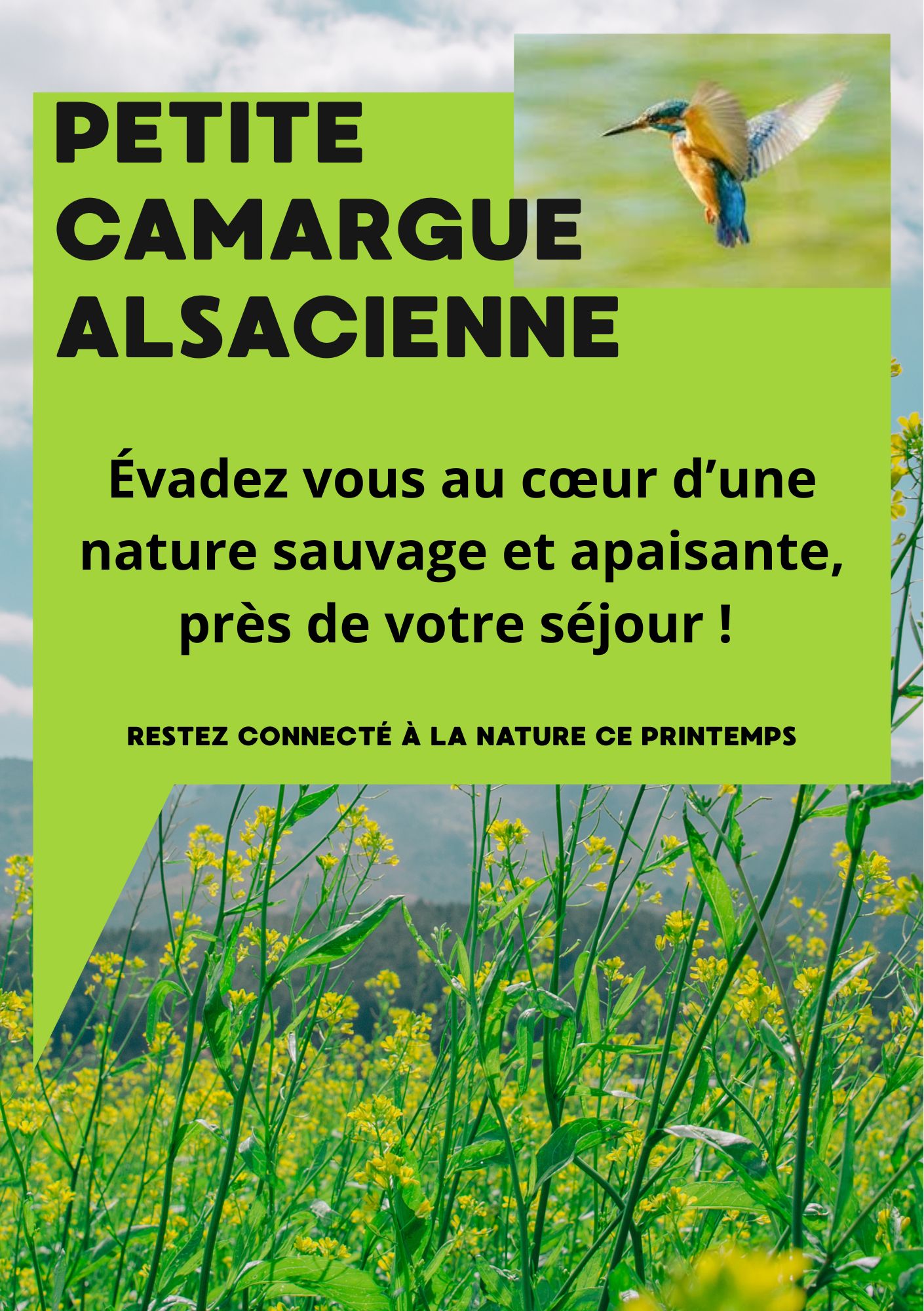 Tourisme – Les activit&eacute;s culturelles, sportives et ludiques au pays des Trois Fronti&egrave;res Brinckheim 0